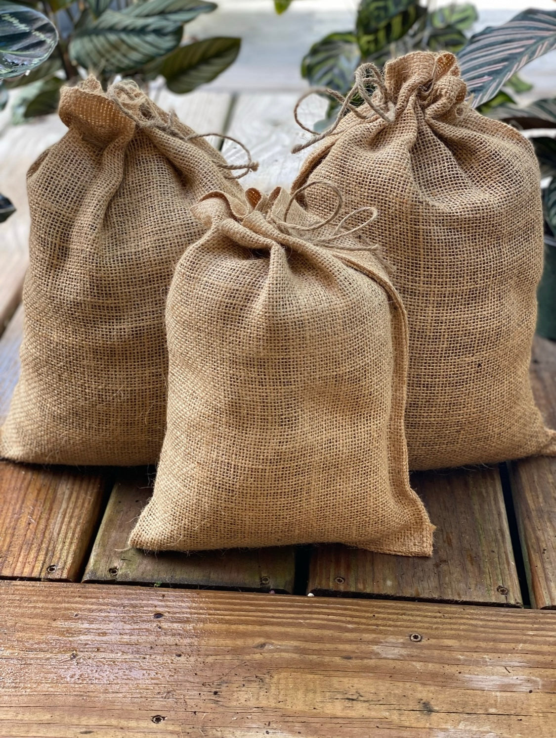 Sol Mix Plant Medium