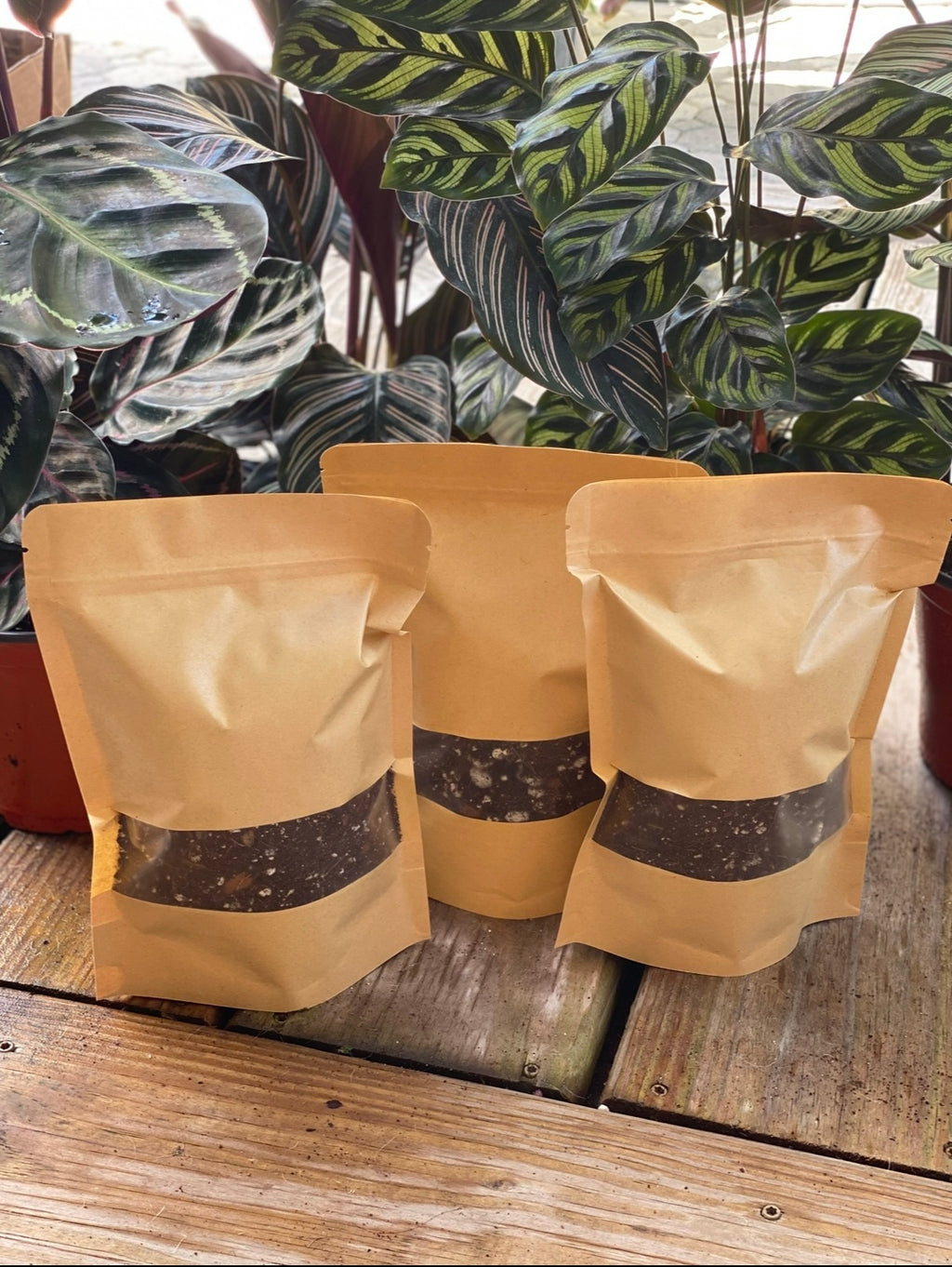 Sol Mix Plant Medium