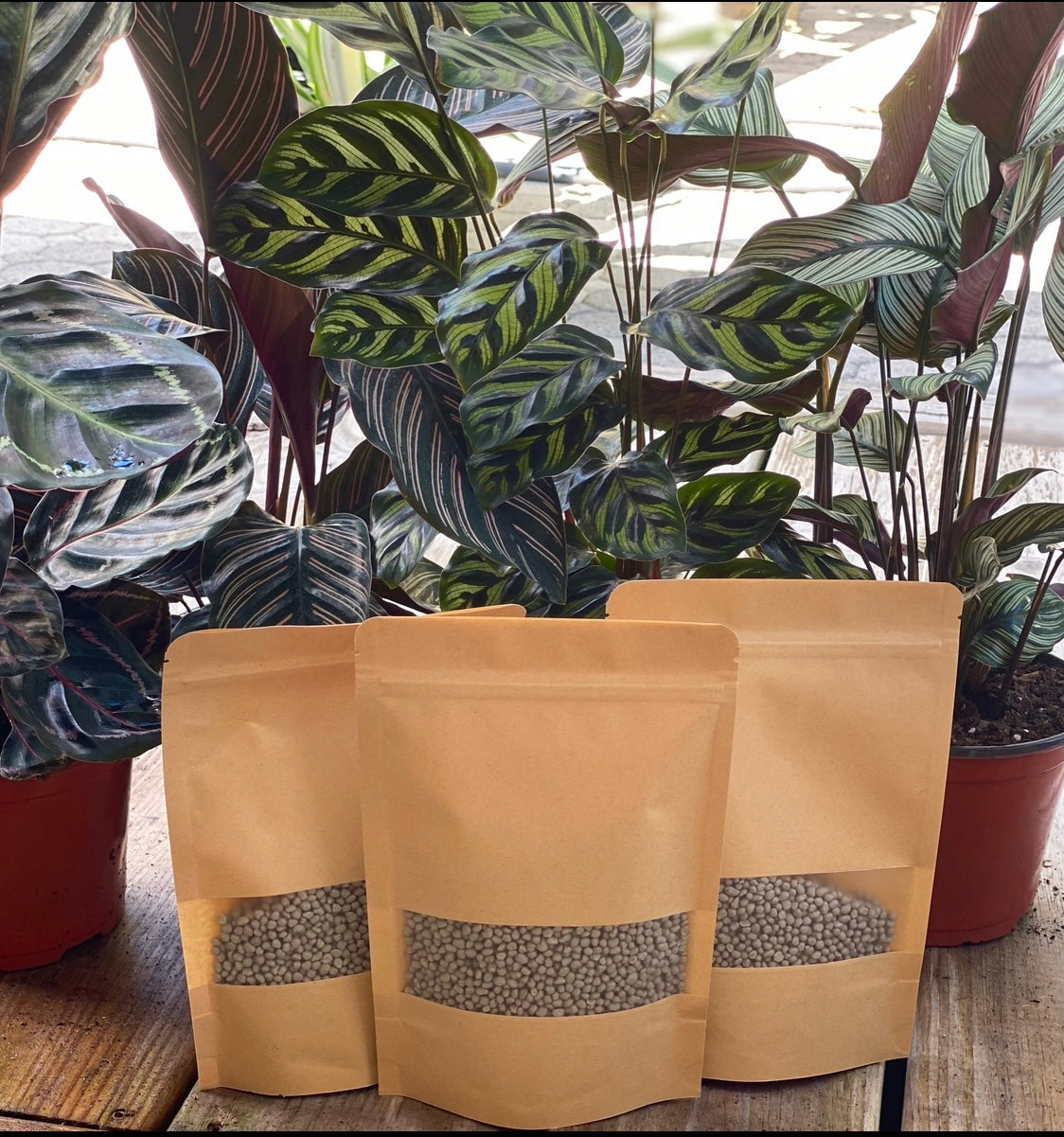 Sol Mix Plant Medium