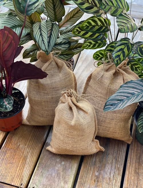 Sol Mix Plant Medium